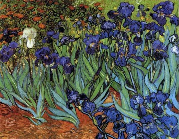  irises Oil Painting - Irises Vincent van Gogh
